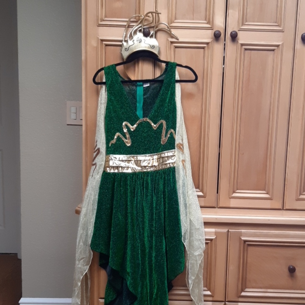 Medusa costume- Headress & Acc. Included.